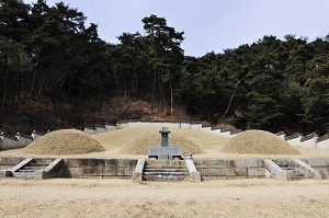 평산신씨시조(平山申氏 始祖),장절공(壯節公),신숭겸(申崇謙),유허비(遺墟碑),용산단(龍山培)